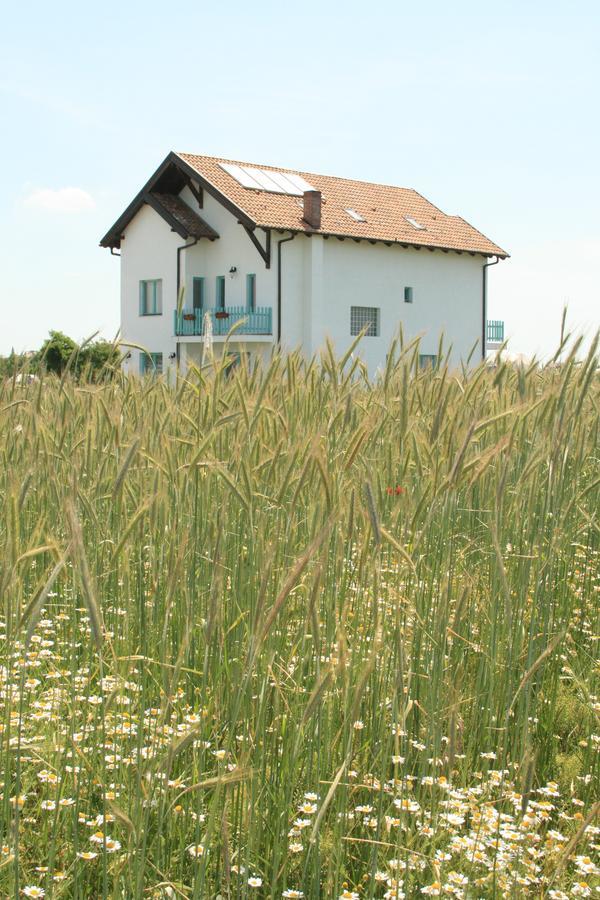 Fragaria Hotel Zimandcuz Екстериор снимка